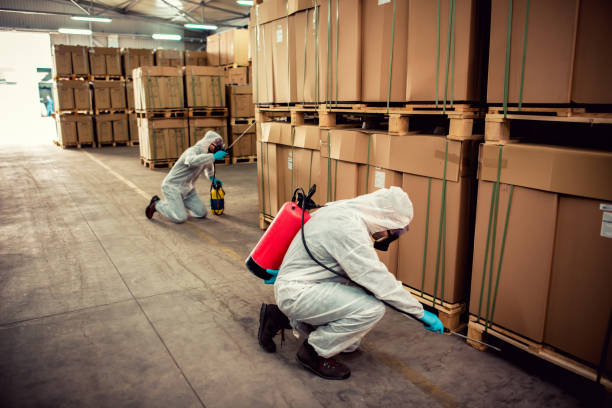 Best Residential Pest Control  in Moores Mill, AL