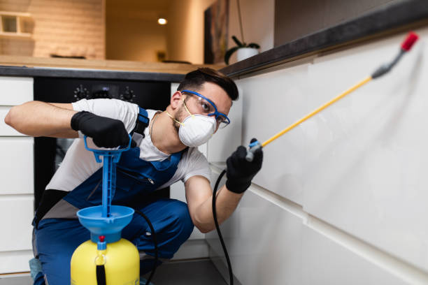 Pest Prevention Services in Moores Mill, AL