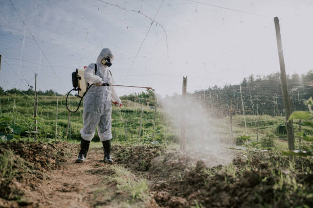 Best Best Pest Control Companies  in Moores Mill, AL