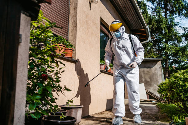 Best Flea Control Services  in Moores Mill, AL