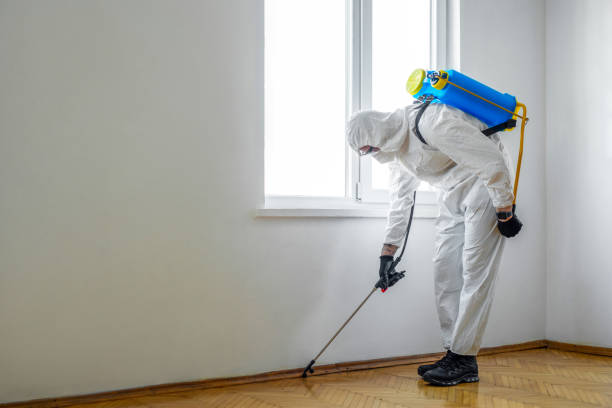 Best Insect Control  in Moores Mill, AL