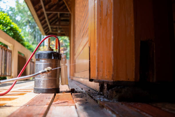 Best Pest Prevention Services  in Moores Mill, AL