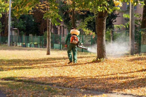 Best Termite Control Services  in Moores Mill, AL