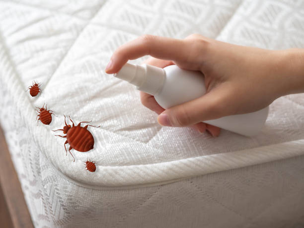 Best Commercial Pest Control Services  in Moores Mill, AL