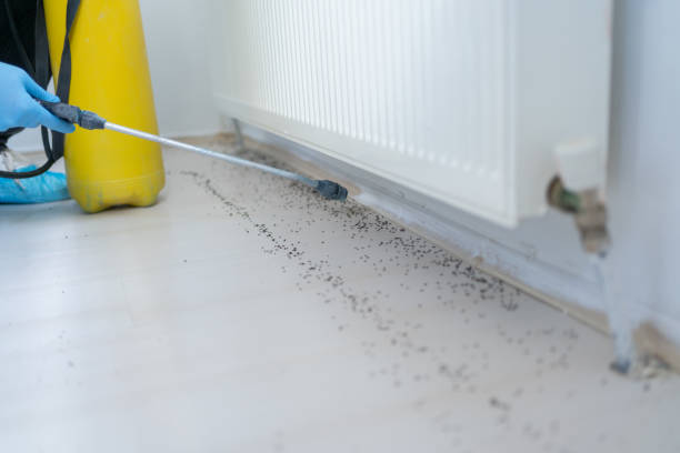 Best Pest Control Near Me  in Moores Mill, AL