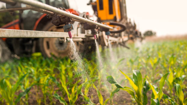 Professional Pest Control in Moores Mill, AL