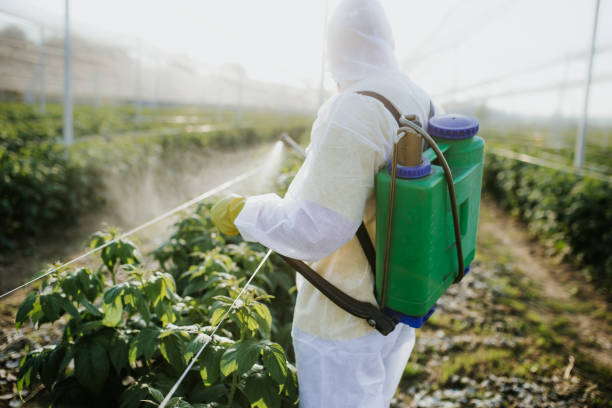 Best Mosquito Control Services  in Moores Mill, AL